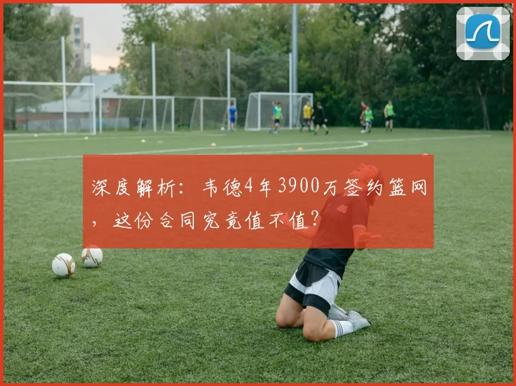 深度解析：韦德4年3900万签约篮网，这份合同究竟值不值？